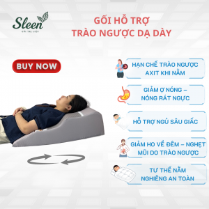 Gối Chống Trào Ngược Dạ Dày