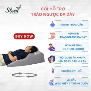 Gối Chống Trào Ngược Dạ Dày