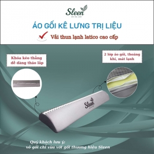 Gối lưng hỗ trợ giảm Thoát vị đĩa đệm, Thoái hóa đốt sống lưng