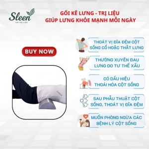 Gối lưng hỗ trợ giảm Thoát vị đĩa đệm, Thoái hóa đốt sống lưng