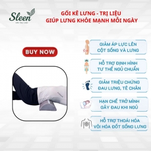 Gối lưng hỗ trợ giảm Thoát vị đĩa đệm, Thoái hóa đốt sống lưng