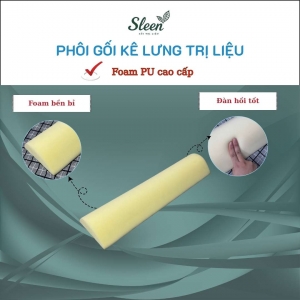 Gối lưng hỗ trợ giảm Thoát vị đĩa đệm, Thoái hóa đốt sống lưng