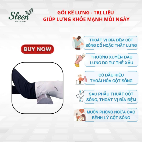 Gối lưng hỗ trợ giảm Thoát vị đĩa đệm, Thoái hóa đốt sống lưng
