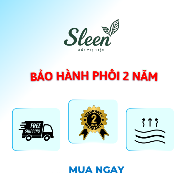 Gối Chống Trào Ngược Dạ Dày